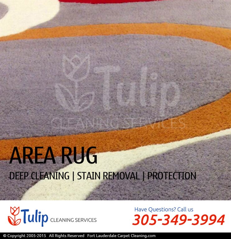 Area Rug Cleaning