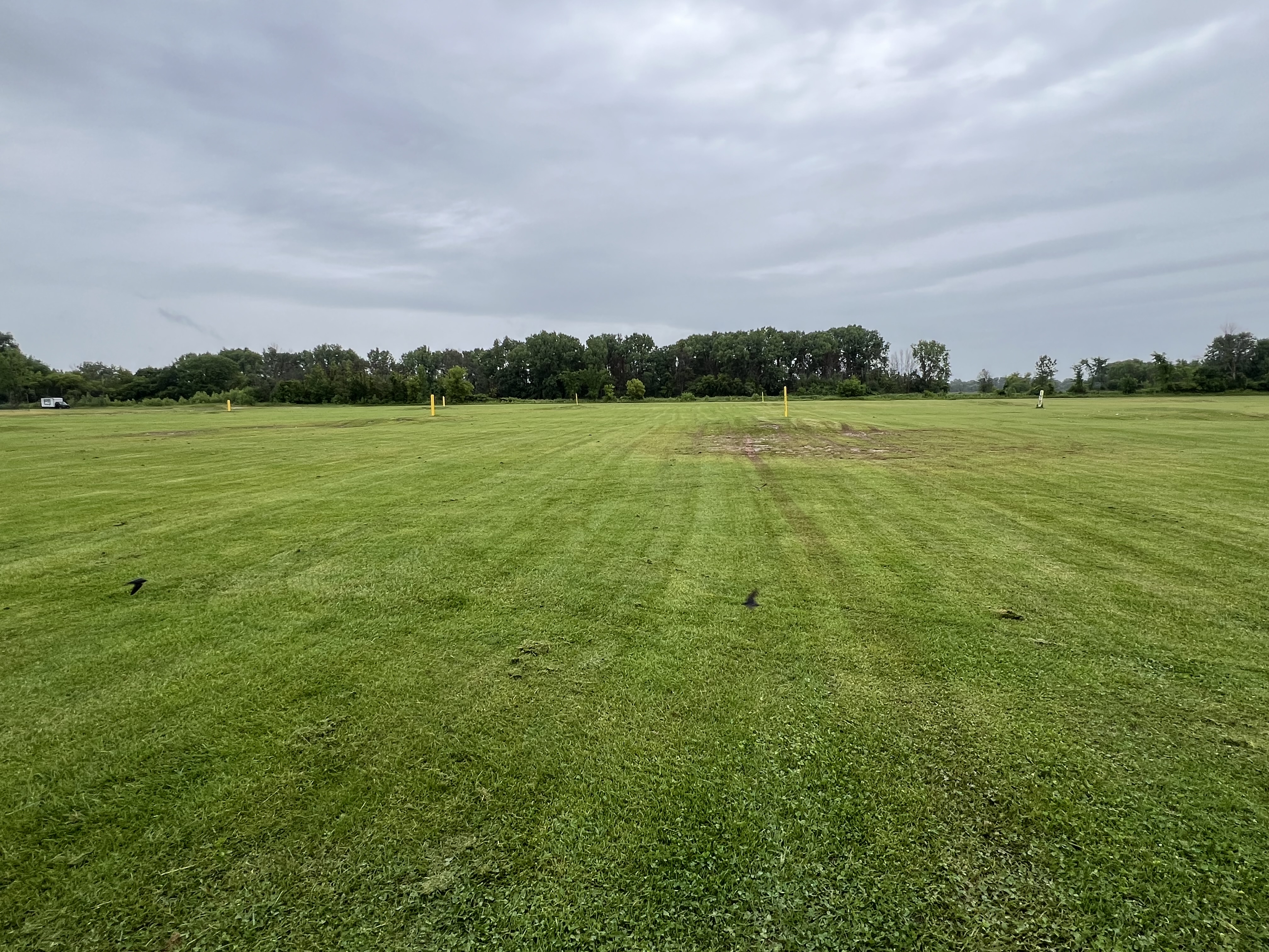 Avatar for Youngerlawnservices