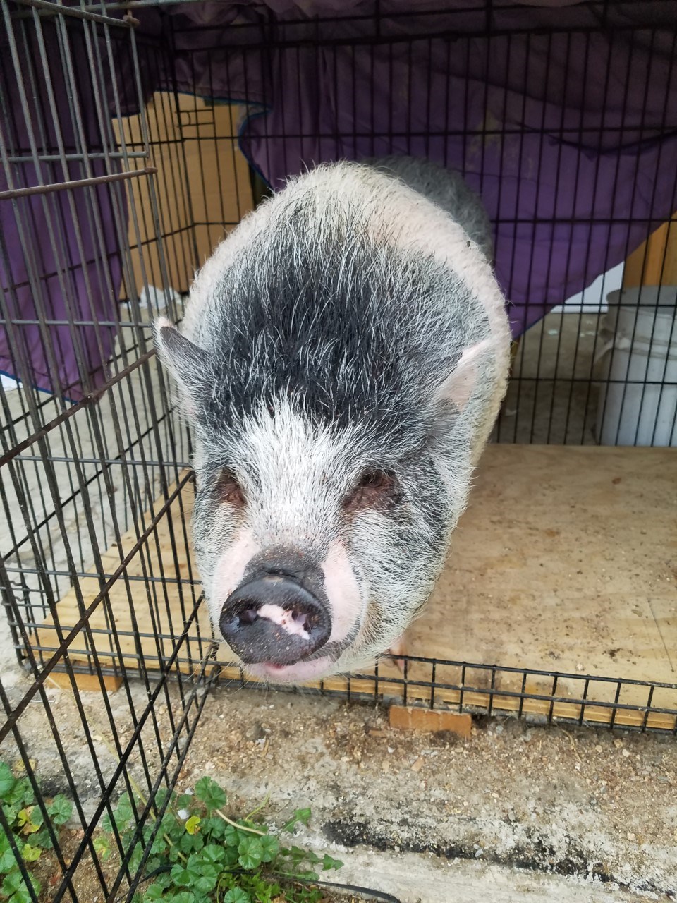 Avatar for Old School Tile Company