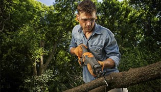 Avatar for Sal's Tree Service