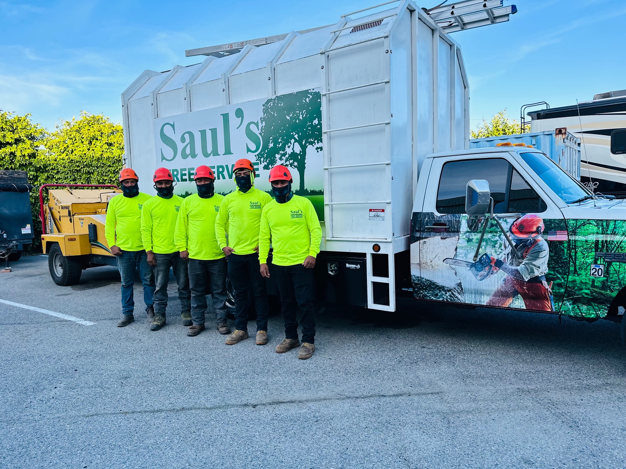 Avatar for SAUL'S TREE SERVICE