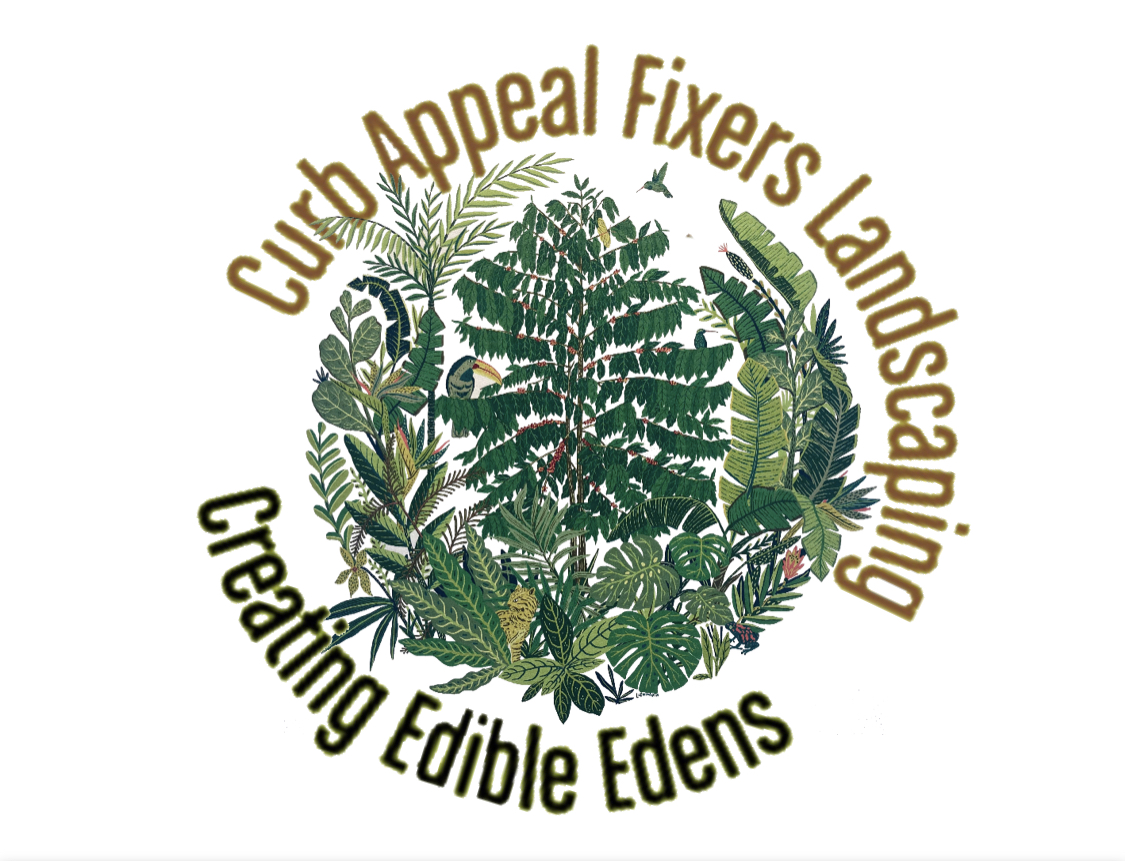 Avatar for Drews Food Forest & Edible Landscaping