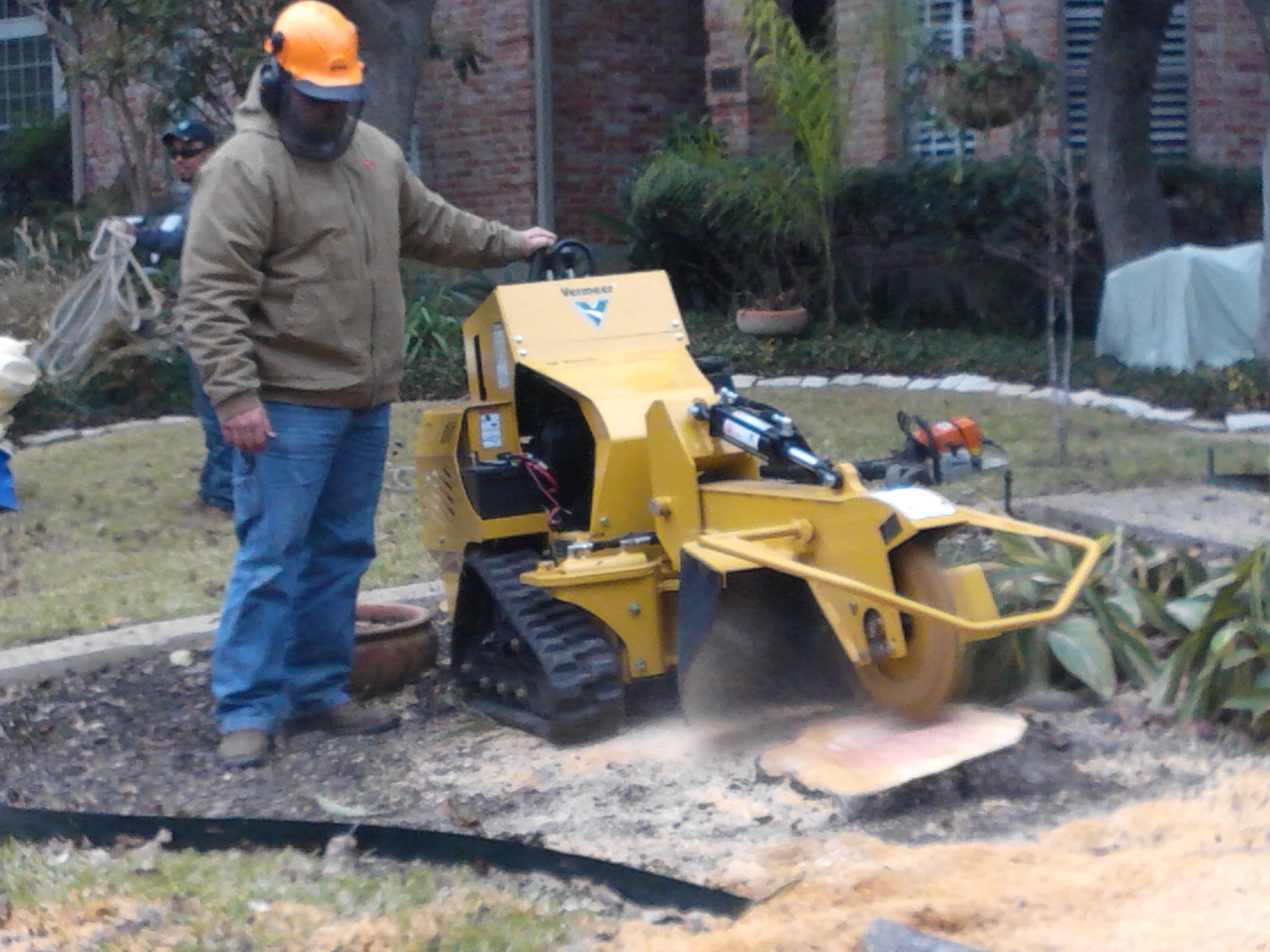 Avatar for The Tree Guys of Texas