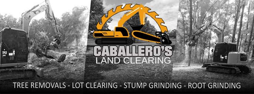 Avatar for Caballero's Landclearing