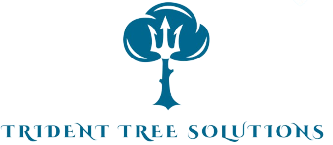 Avatar for Trident Tree Solutions