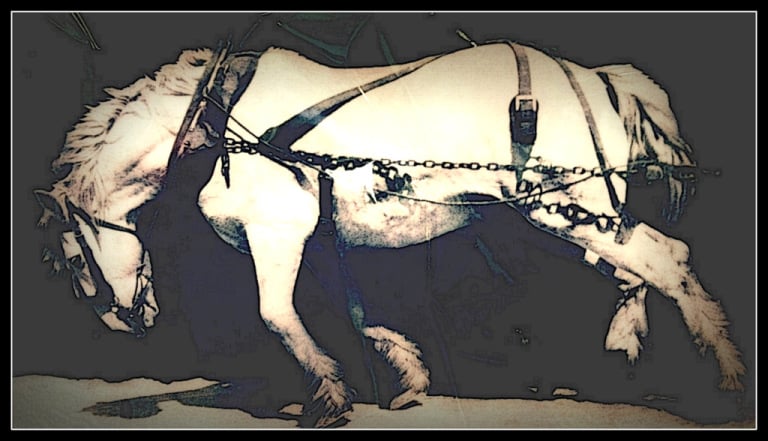 Avatar for Boots N Roots, LLC