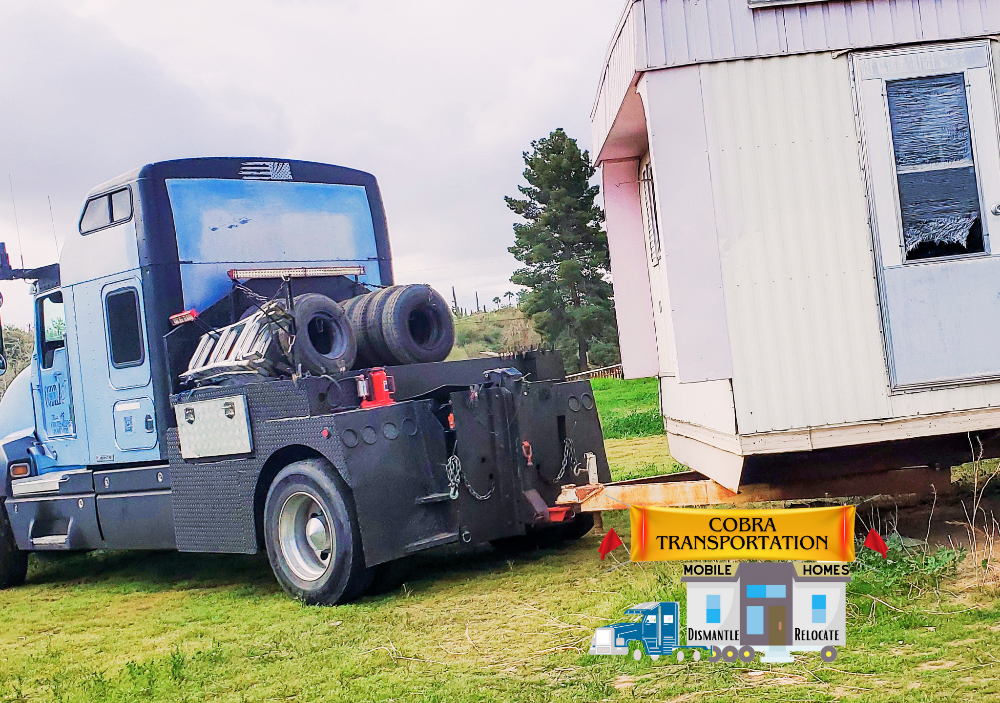 Avatar for cobra Transportation LLC