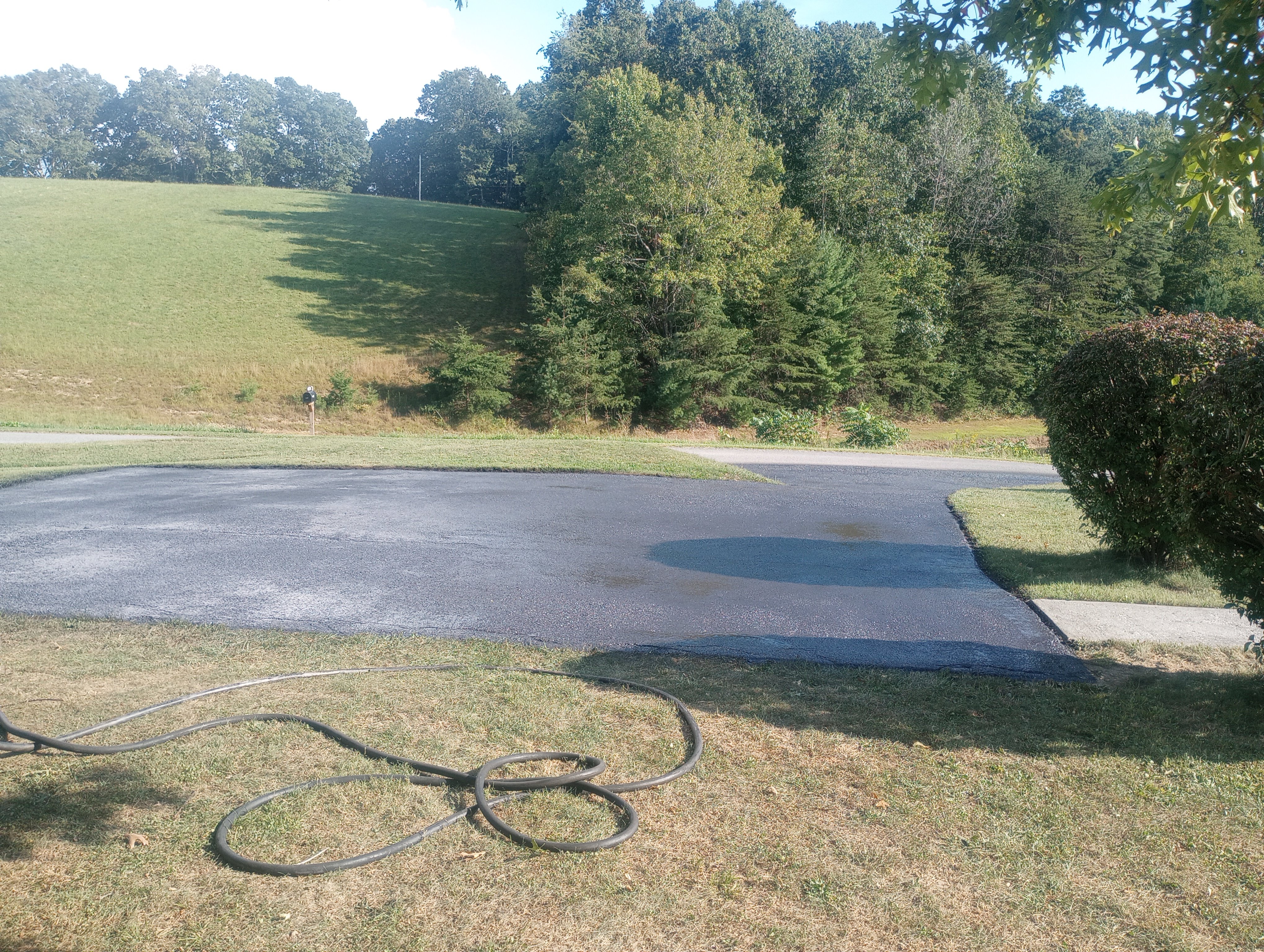 Avatar for Every Seal And Striping