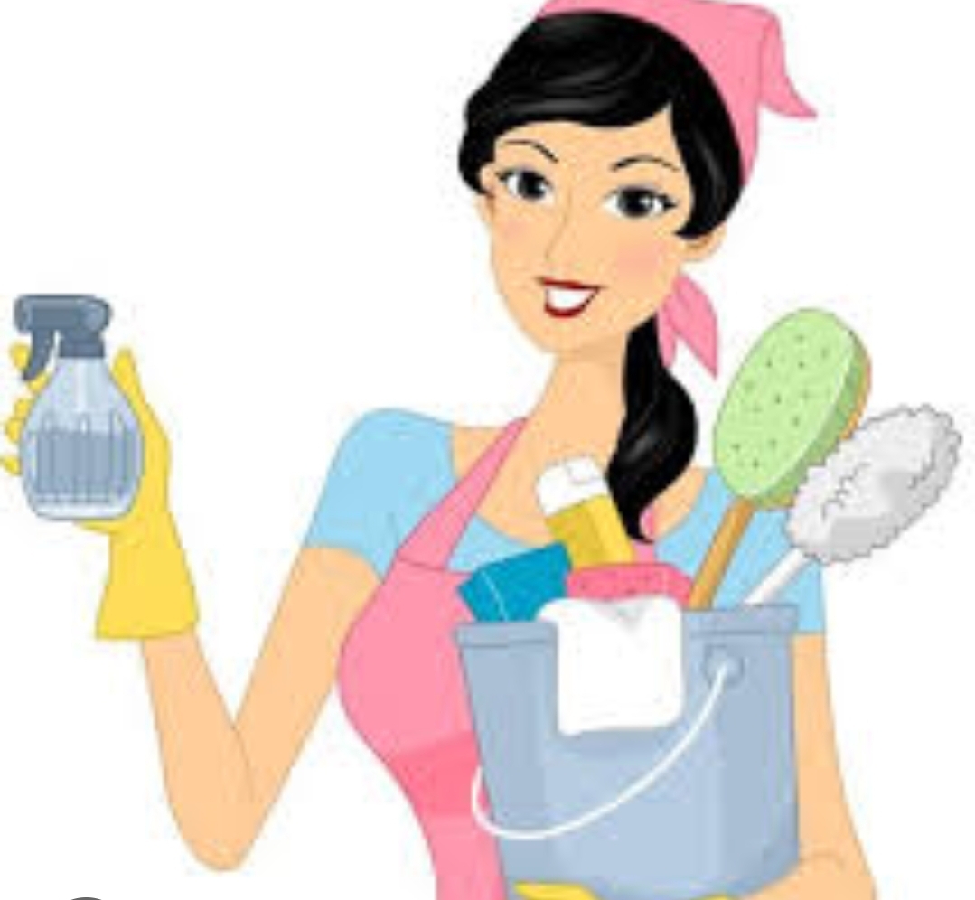 Avatar for All around carrier llc 