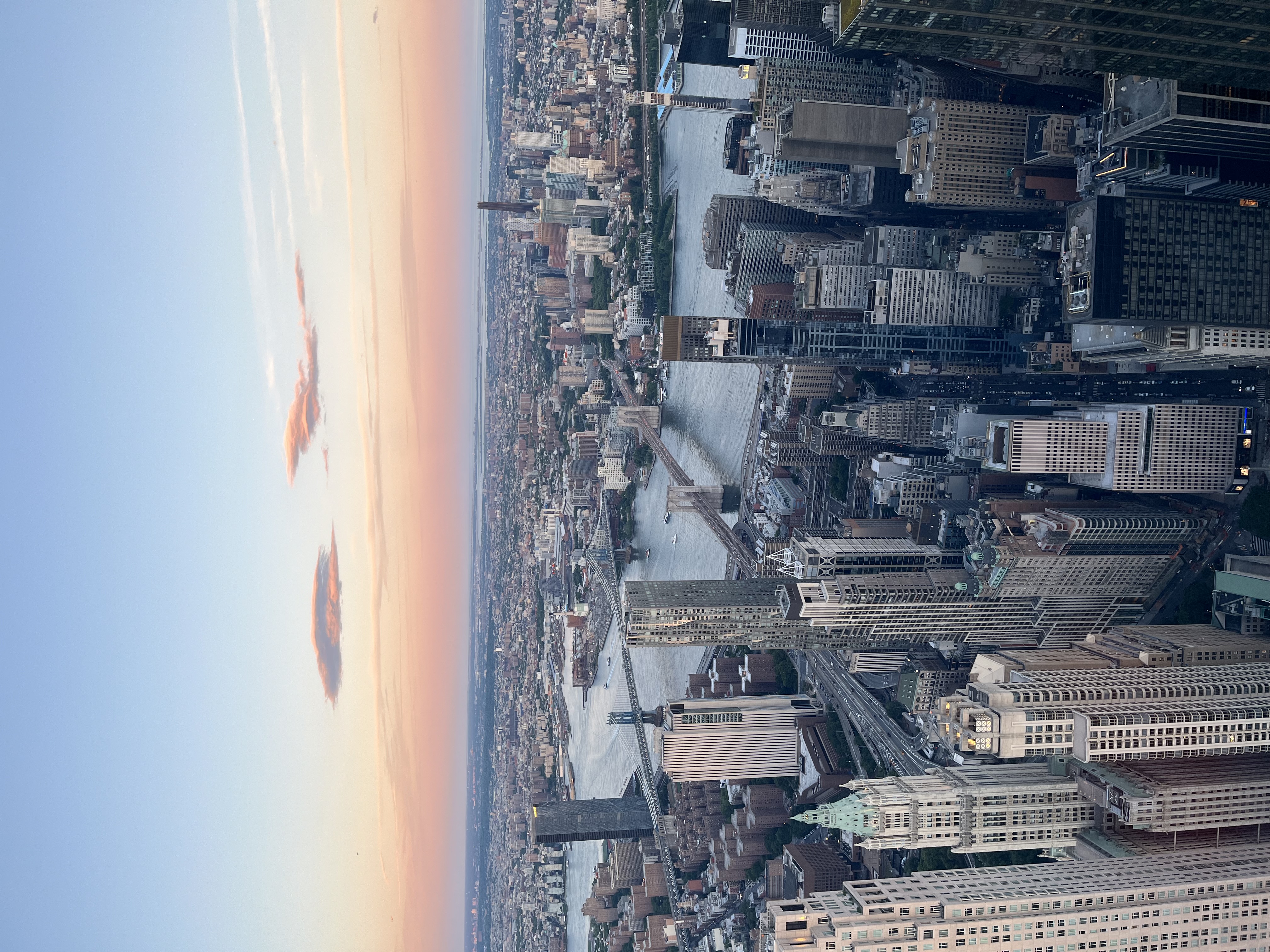 Avatar for Professional window cleaner