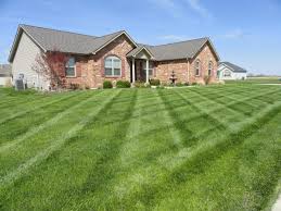 Avatar for Martins LawnCare 