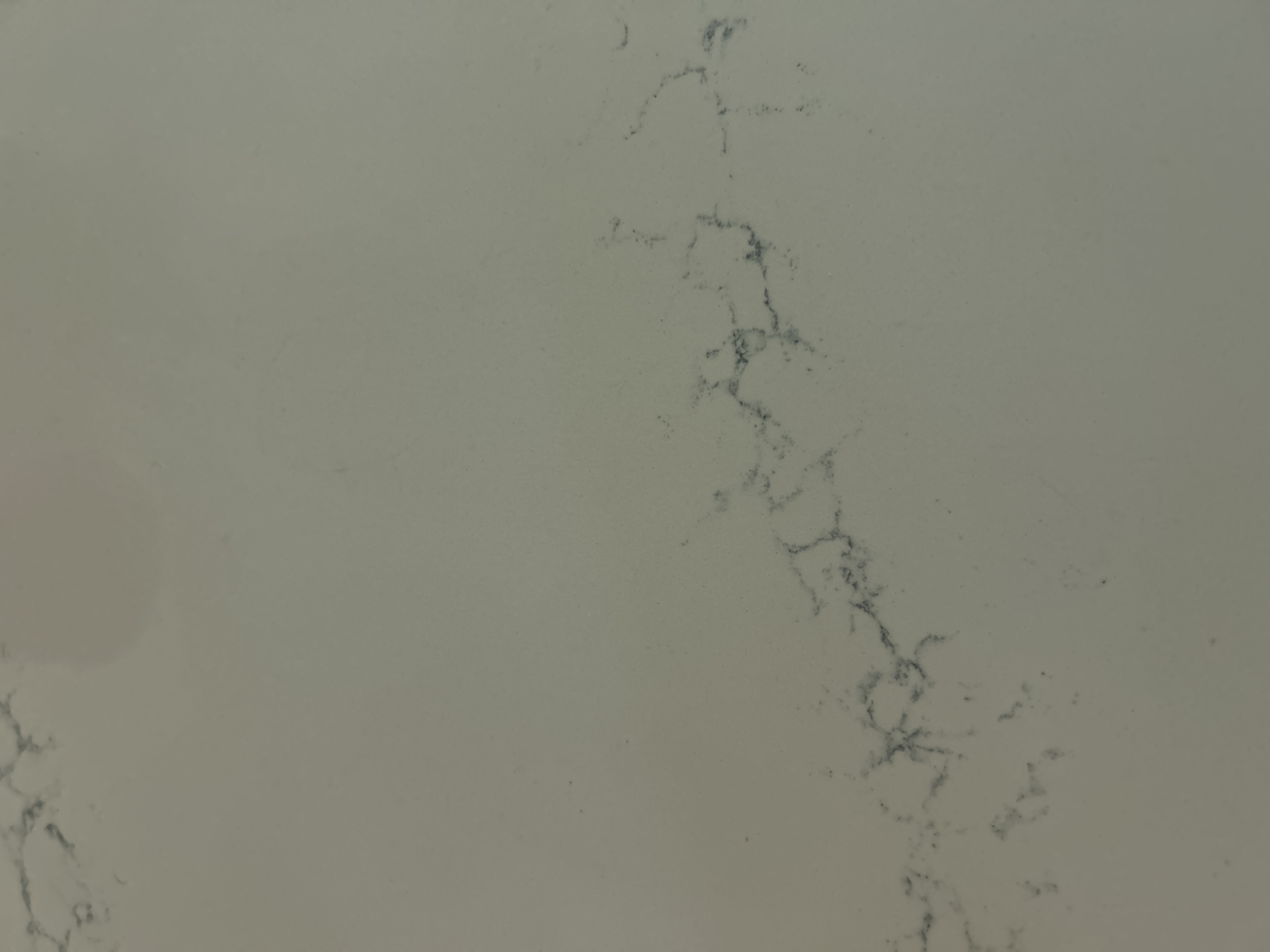 Avatar for TG Modern Mix