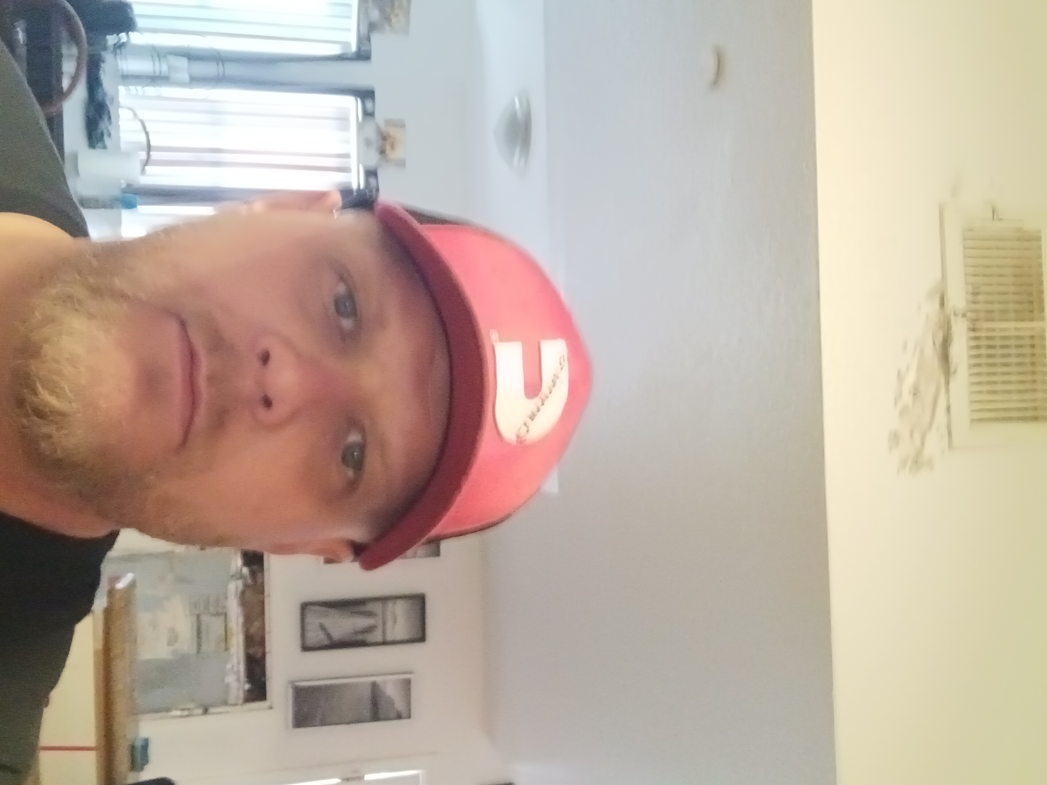 Avatar for Bob cat services