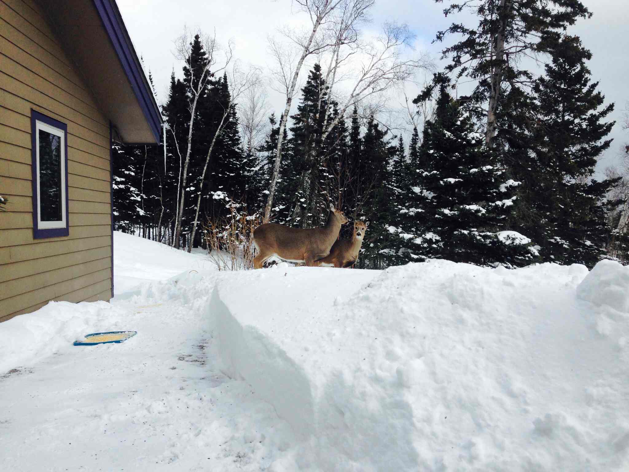 Avatar for Brennan Heikes Professional Painting