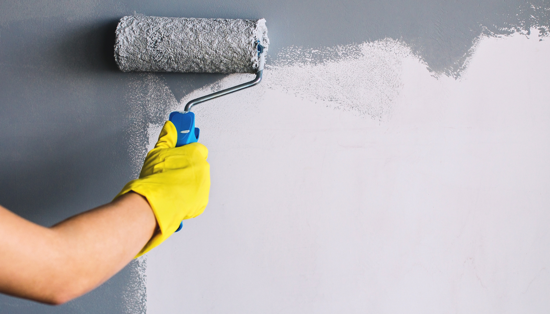 Avatar for Zander Edkin