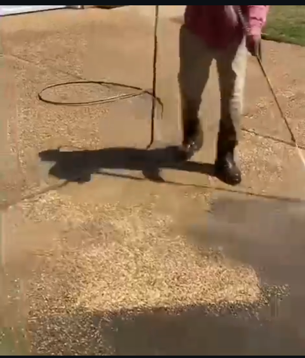 Avatar for Brighter Grounds