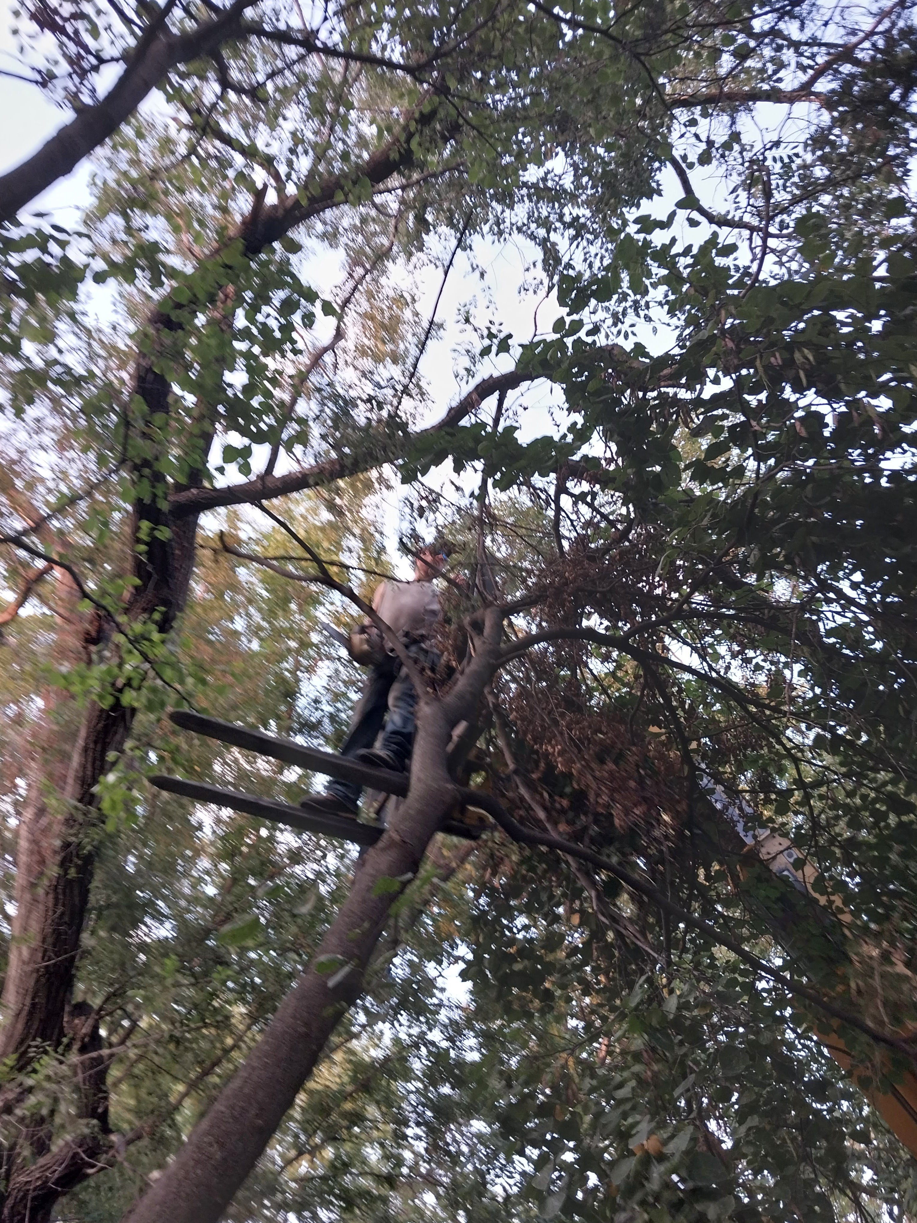 Avatar for Josh, Ryan, and Dusty