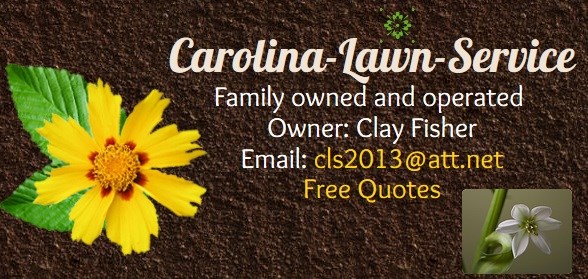 Carolina Lawn Service logo