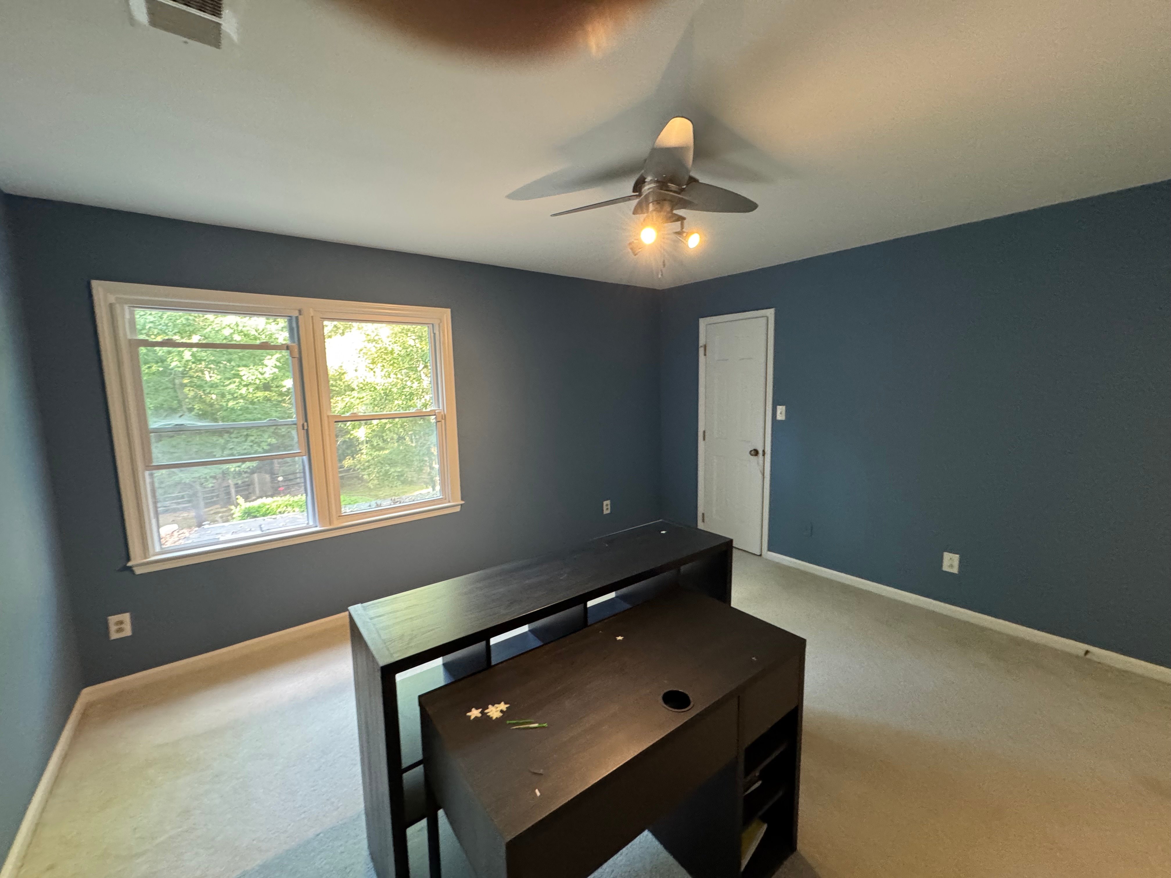 Avatar for Dorian paint 