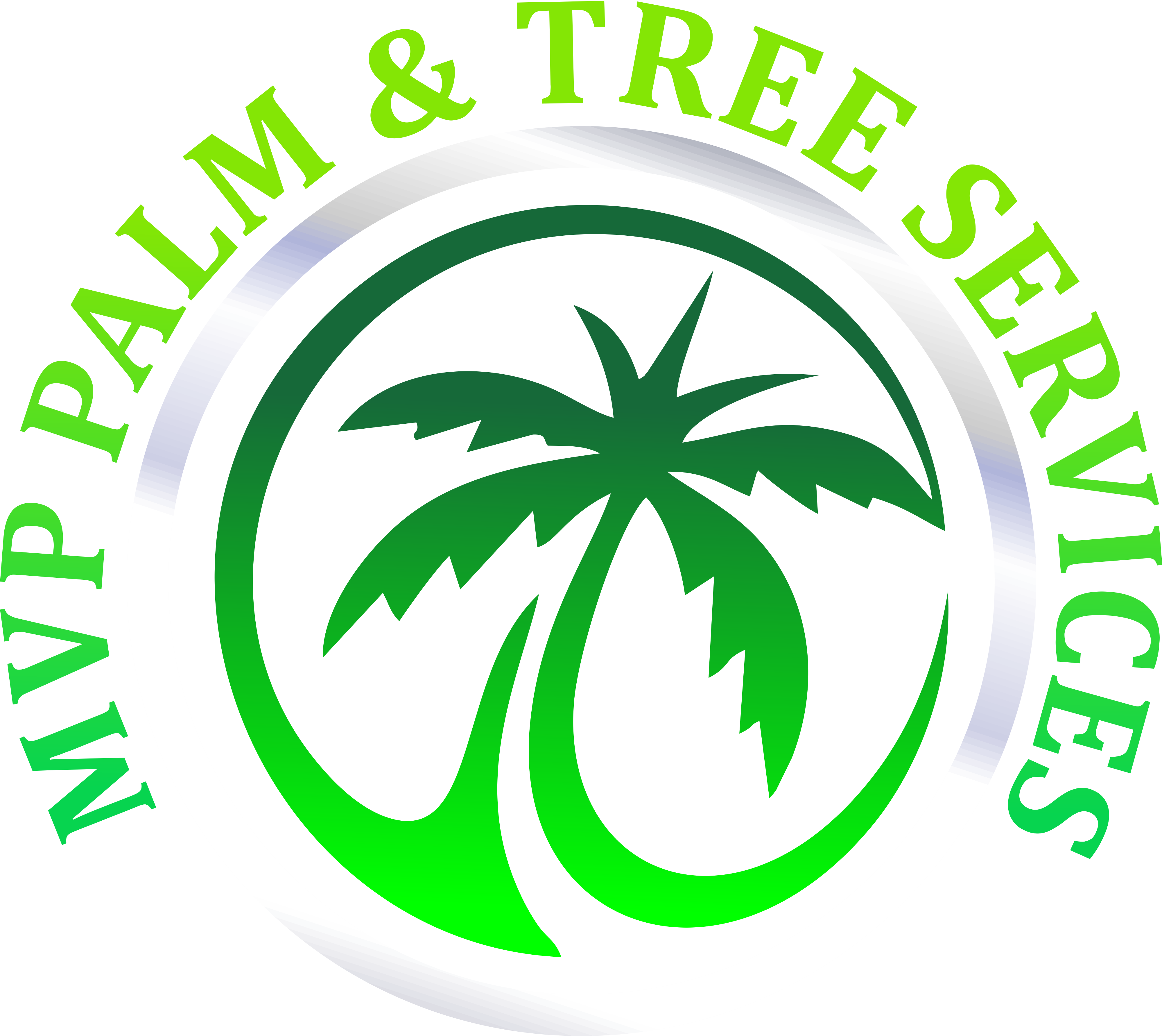 Avatar for MVP Palm & Tree Services