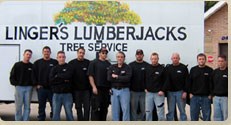 Linger's Lumberjacks