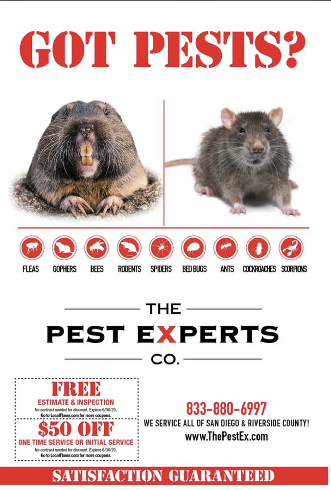 Avatar for The Pest Experts
