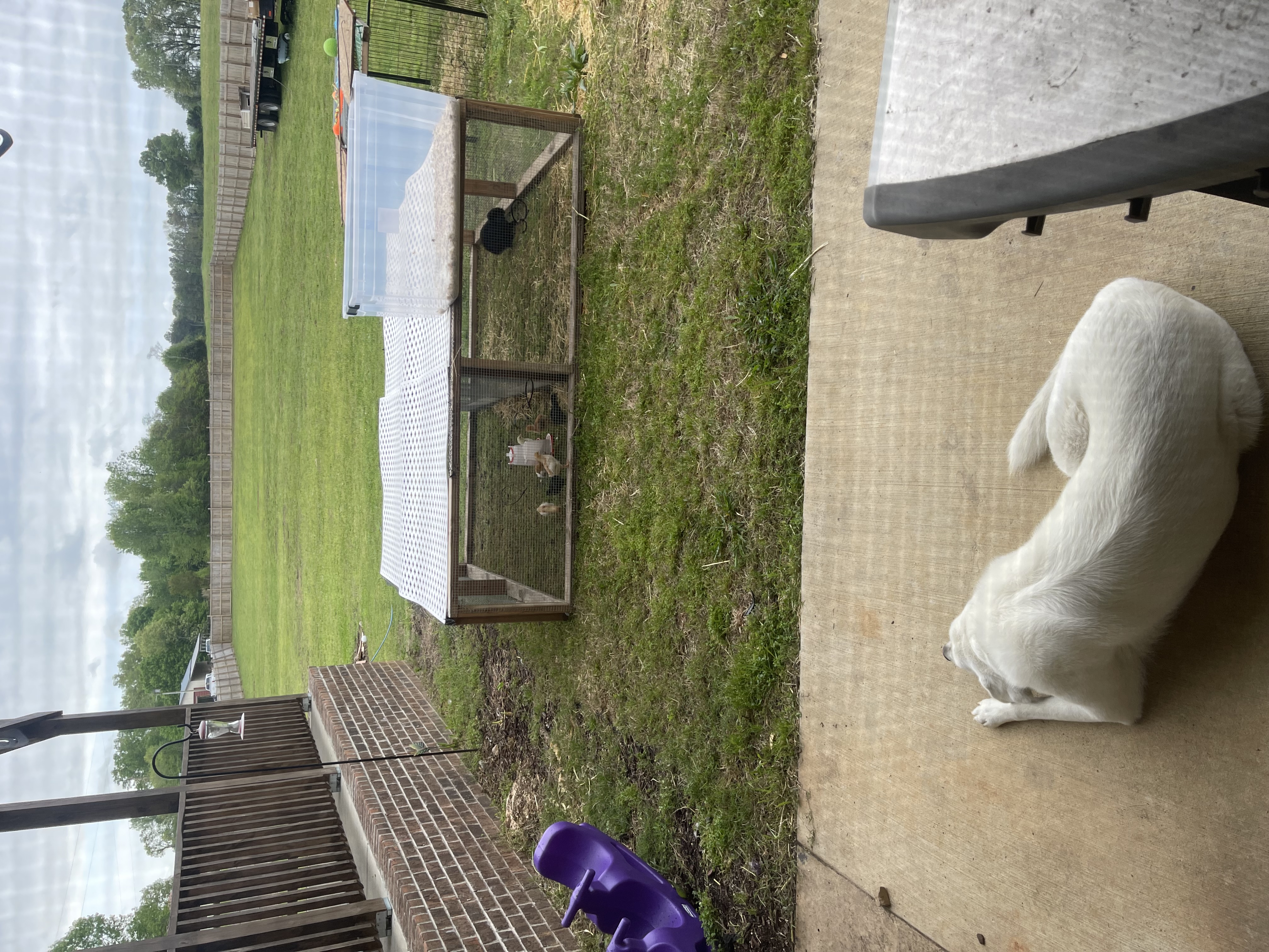 Avatar for Uncle B mowing