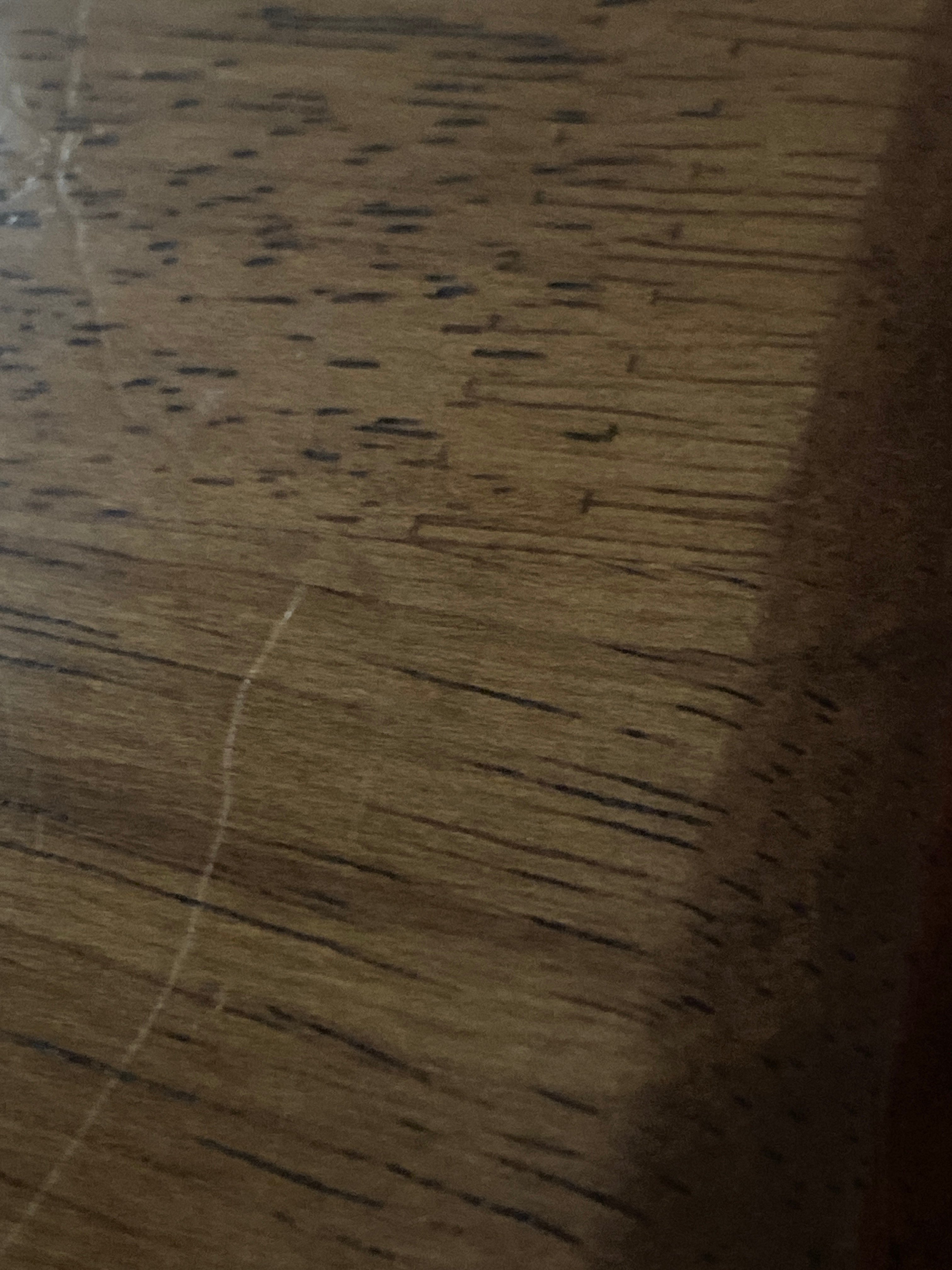 Avatar for Zachary martinez