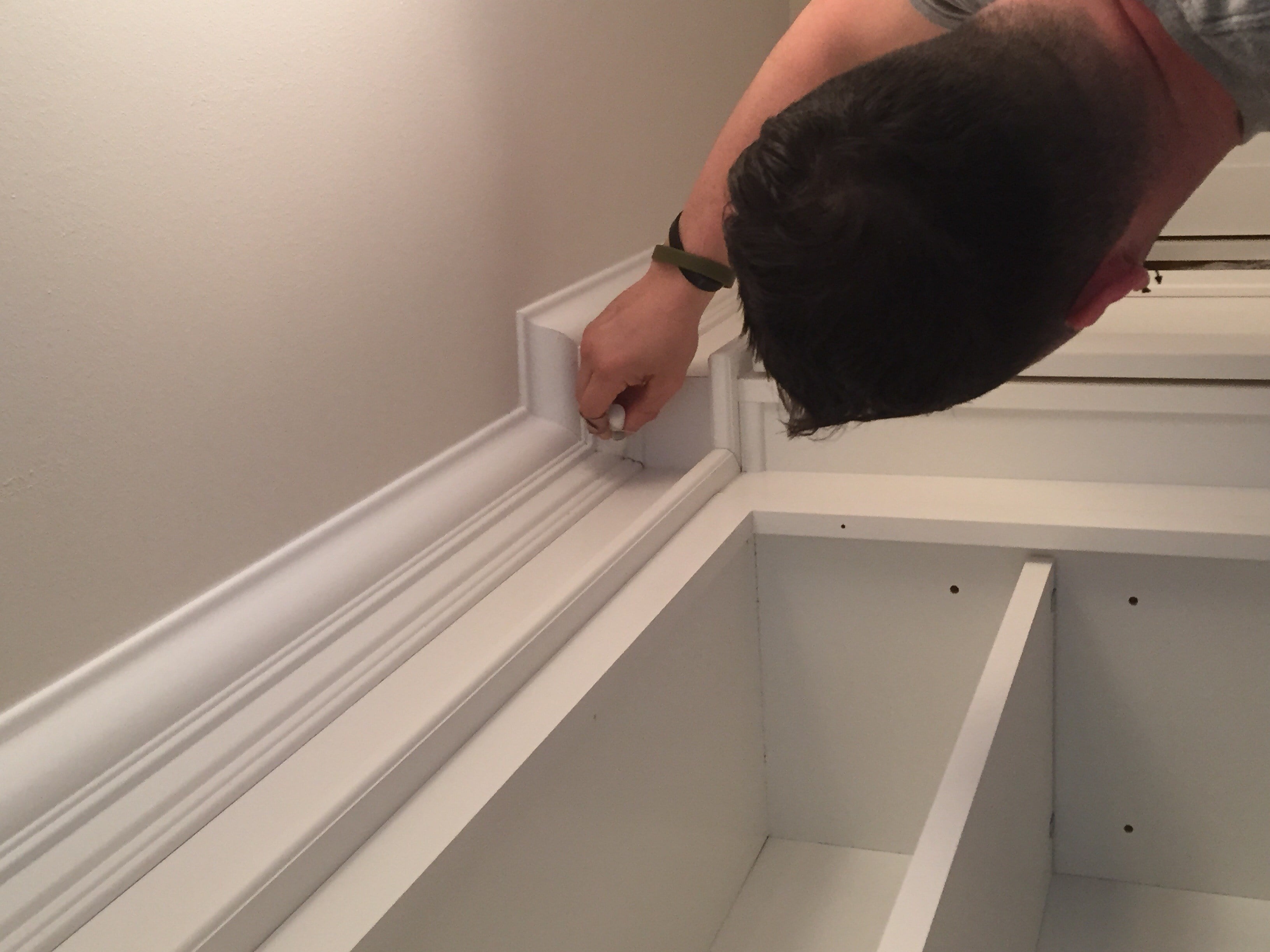 Avatar for A Molly Co Environmental & Restoration Services