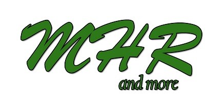 Logo for Mike's Home Repair and More