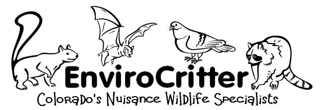 Logo for EnviroCritter