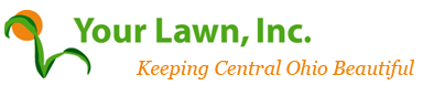 Avatar for Your Lawn Inc