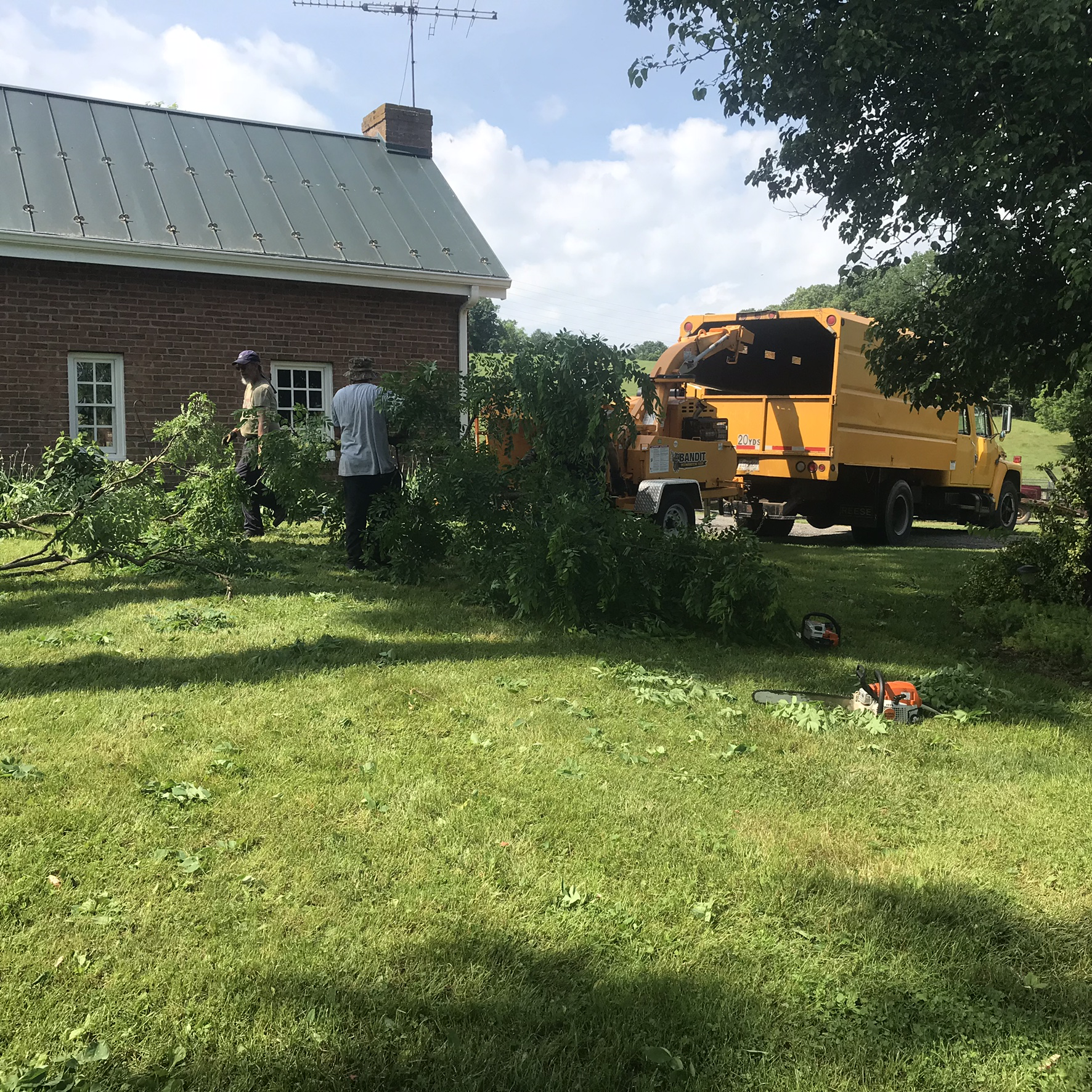 Avatar for BBB Tree & Landscaping Service, LLC