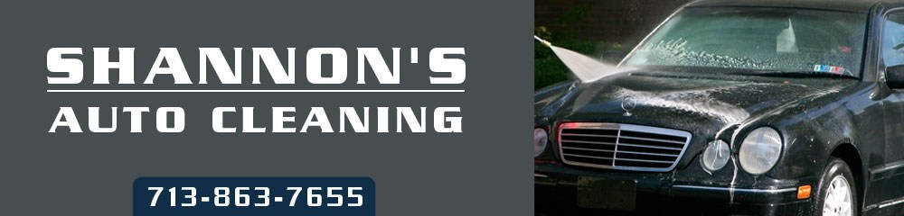 Logo for Shannon's Auto Cleaning