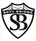 Avatar for Skyy Bridge Developers