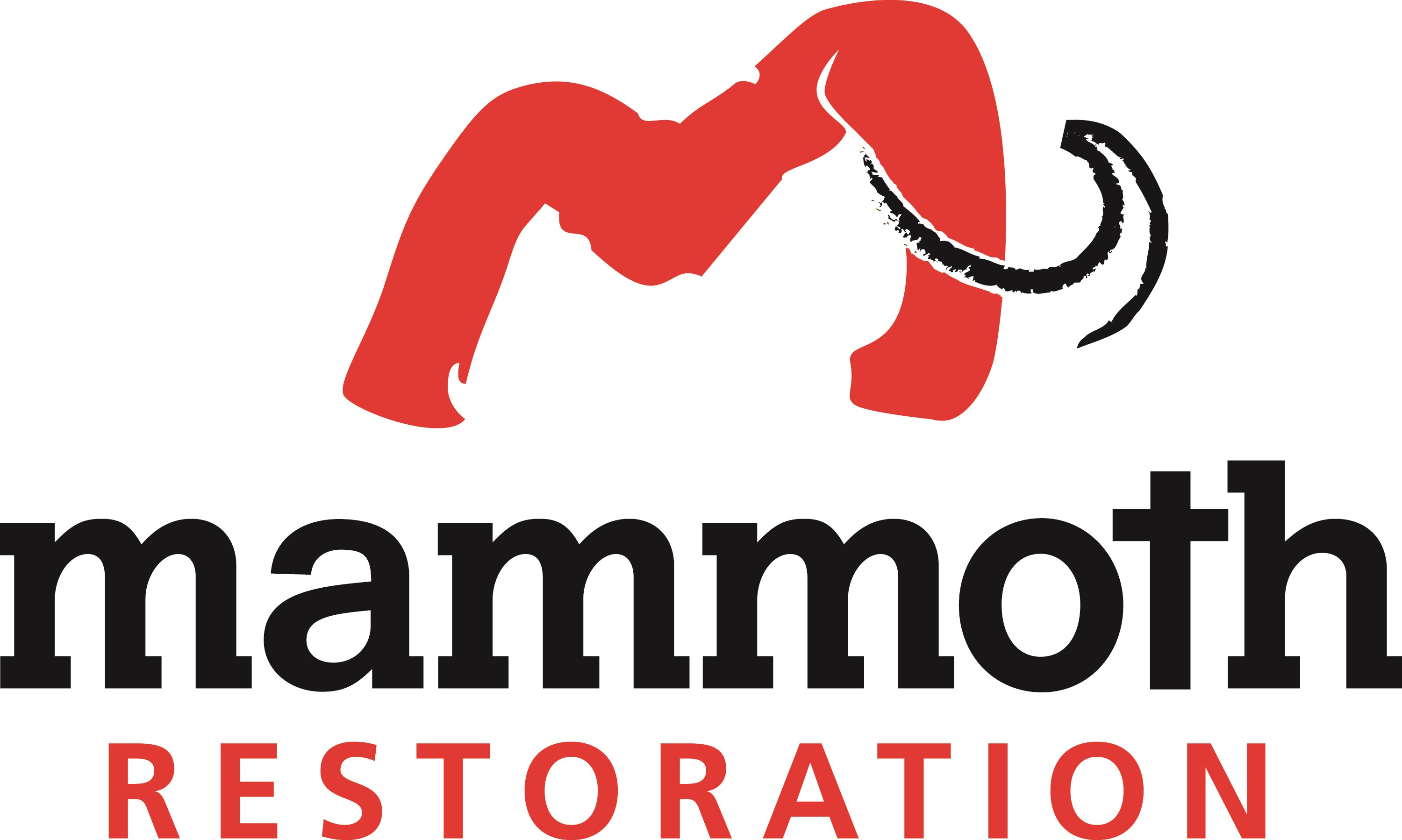 Avatar for Mammoth Restoration & Construction