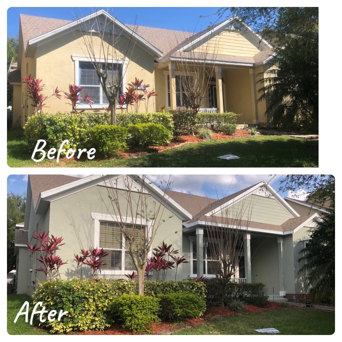 Avatar for Ahedo Painting LLC