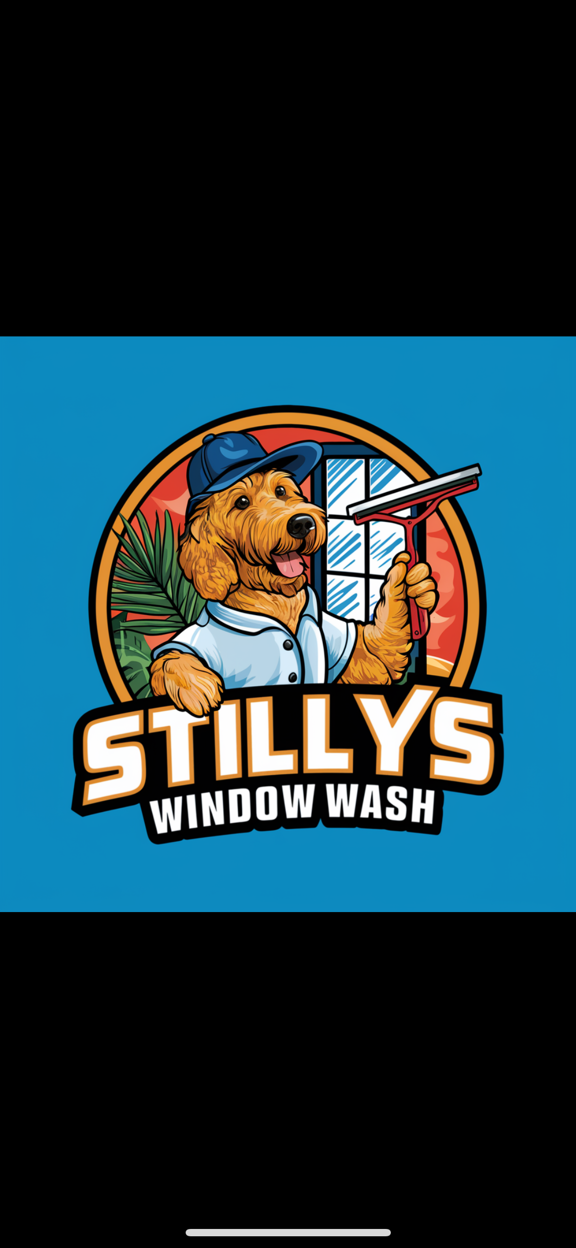 Avatar for Stillys Window Wash