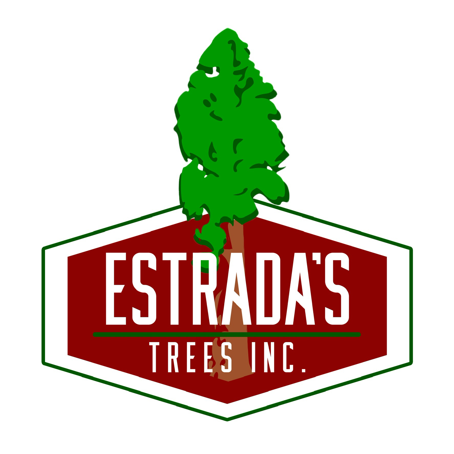 Avatar for Estrada's Trees Inc.