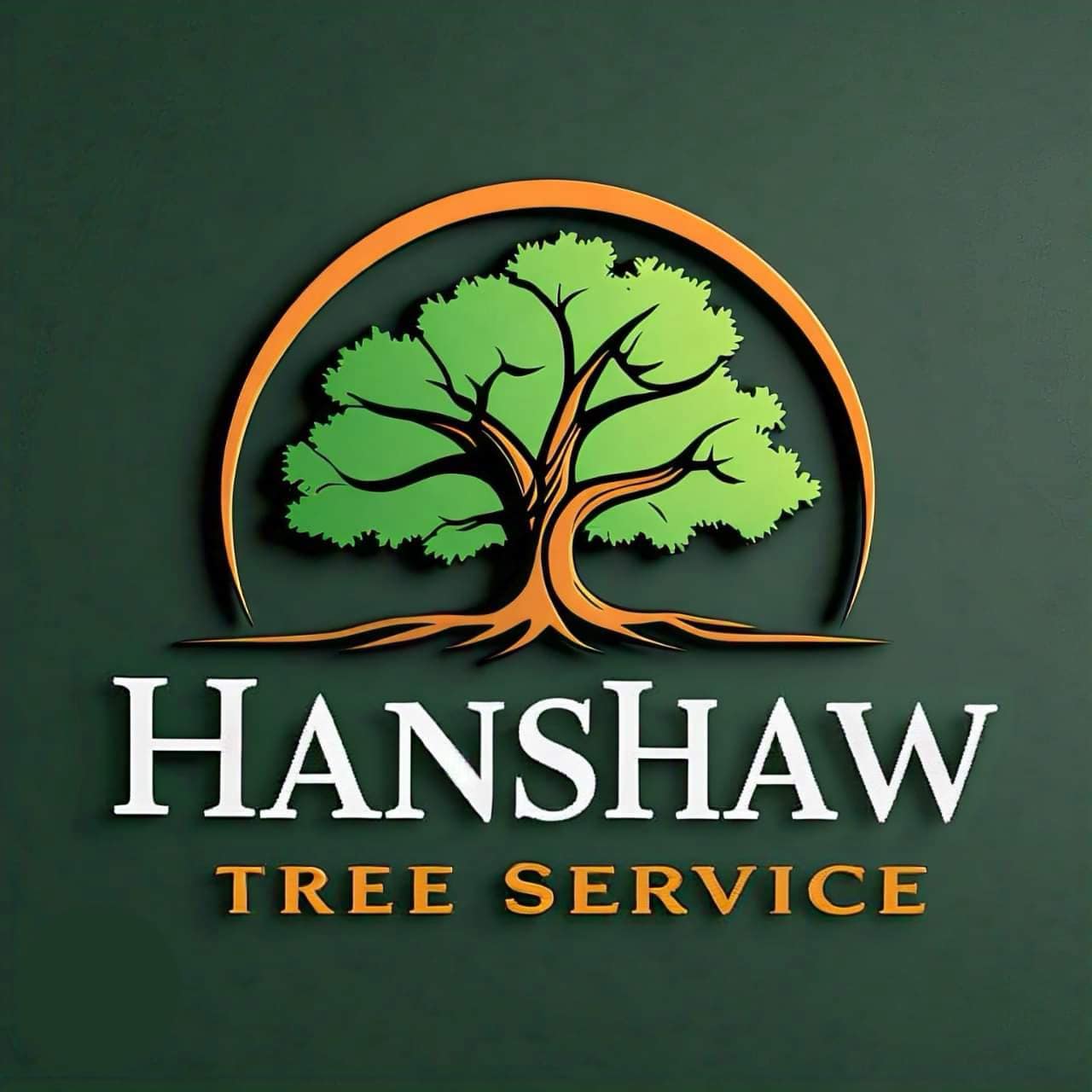 Avatar for Hanshaw Tree Services llc