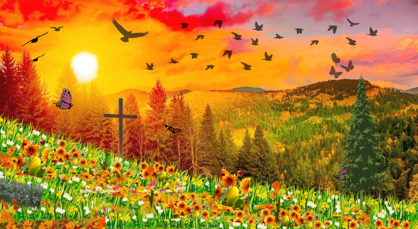 Avatar for Honestly clean