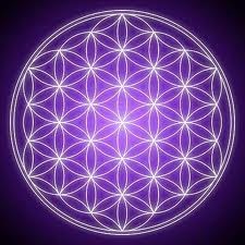Flower of Life Organic Lawn and Landscaping Care logo