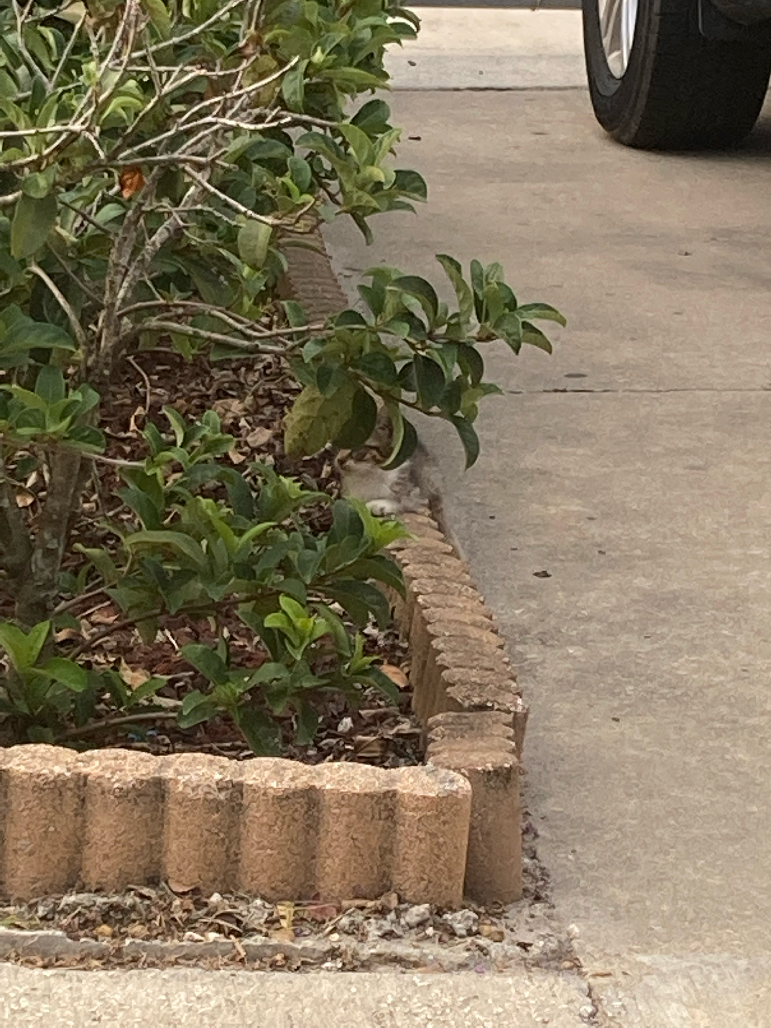 Avatar for Timeless Photos