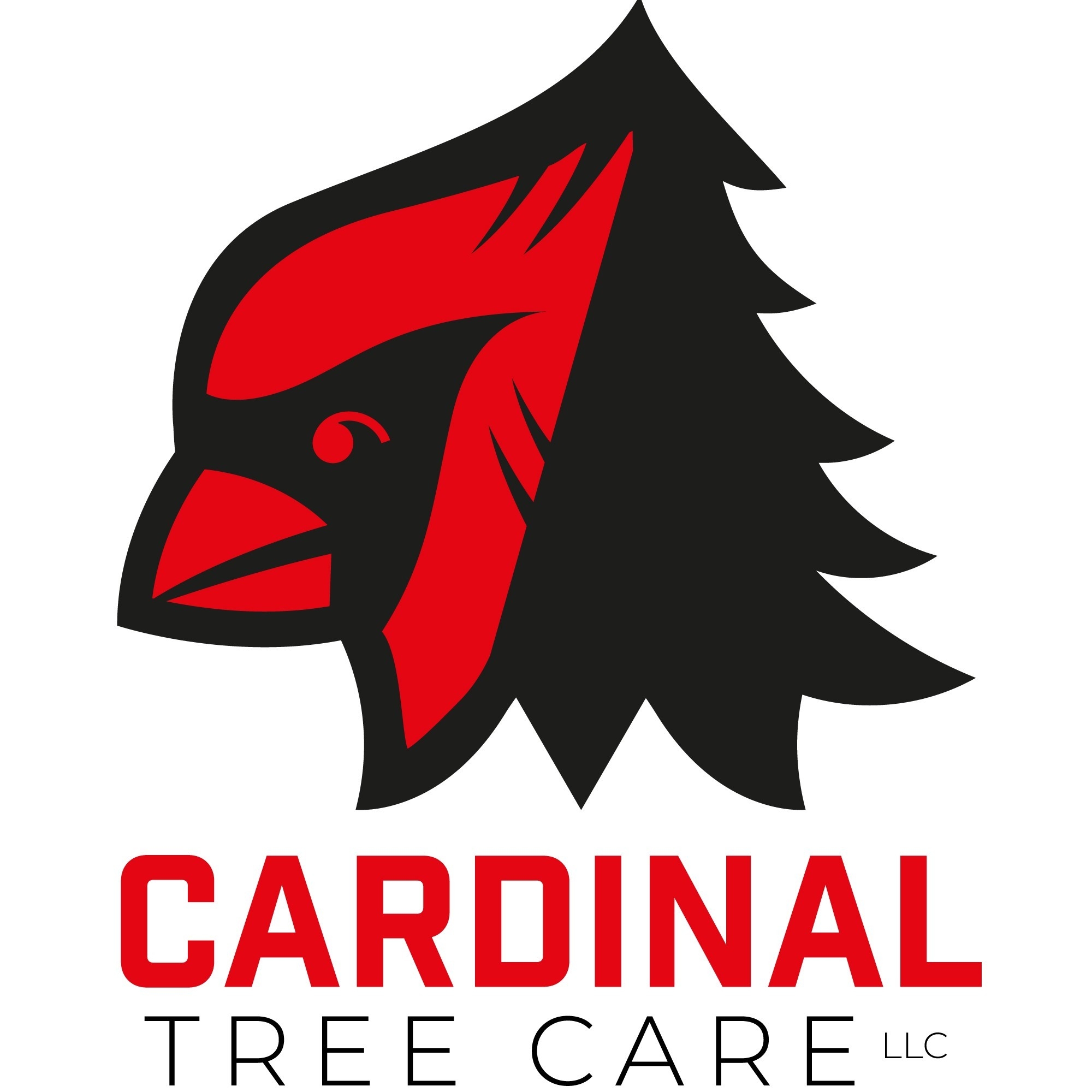 Avatar for Cardinal Tree Service LLC
