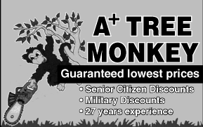 A+ Tree Monkey logo