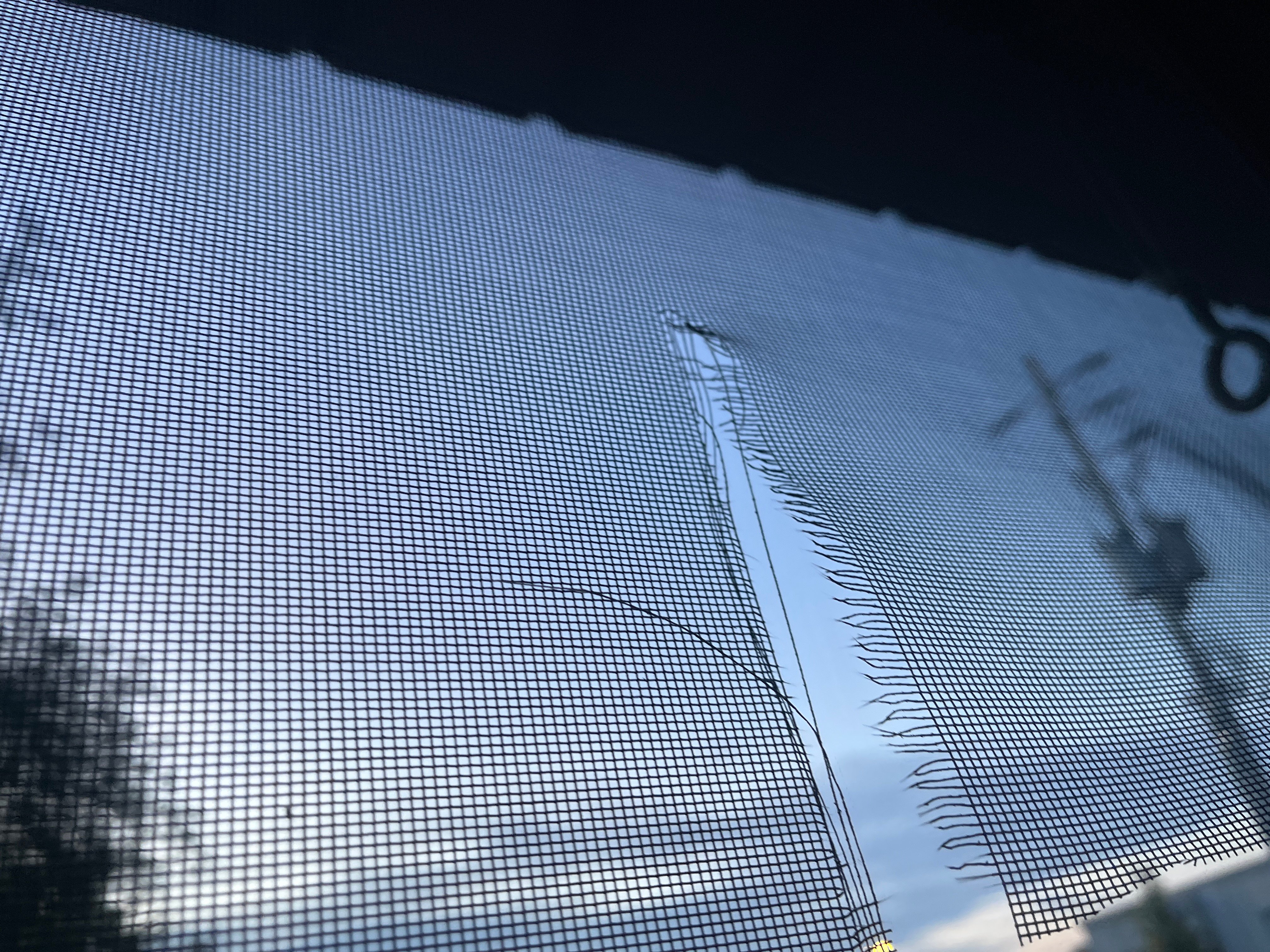 Avatar for Brentlee Cummins screen repairs