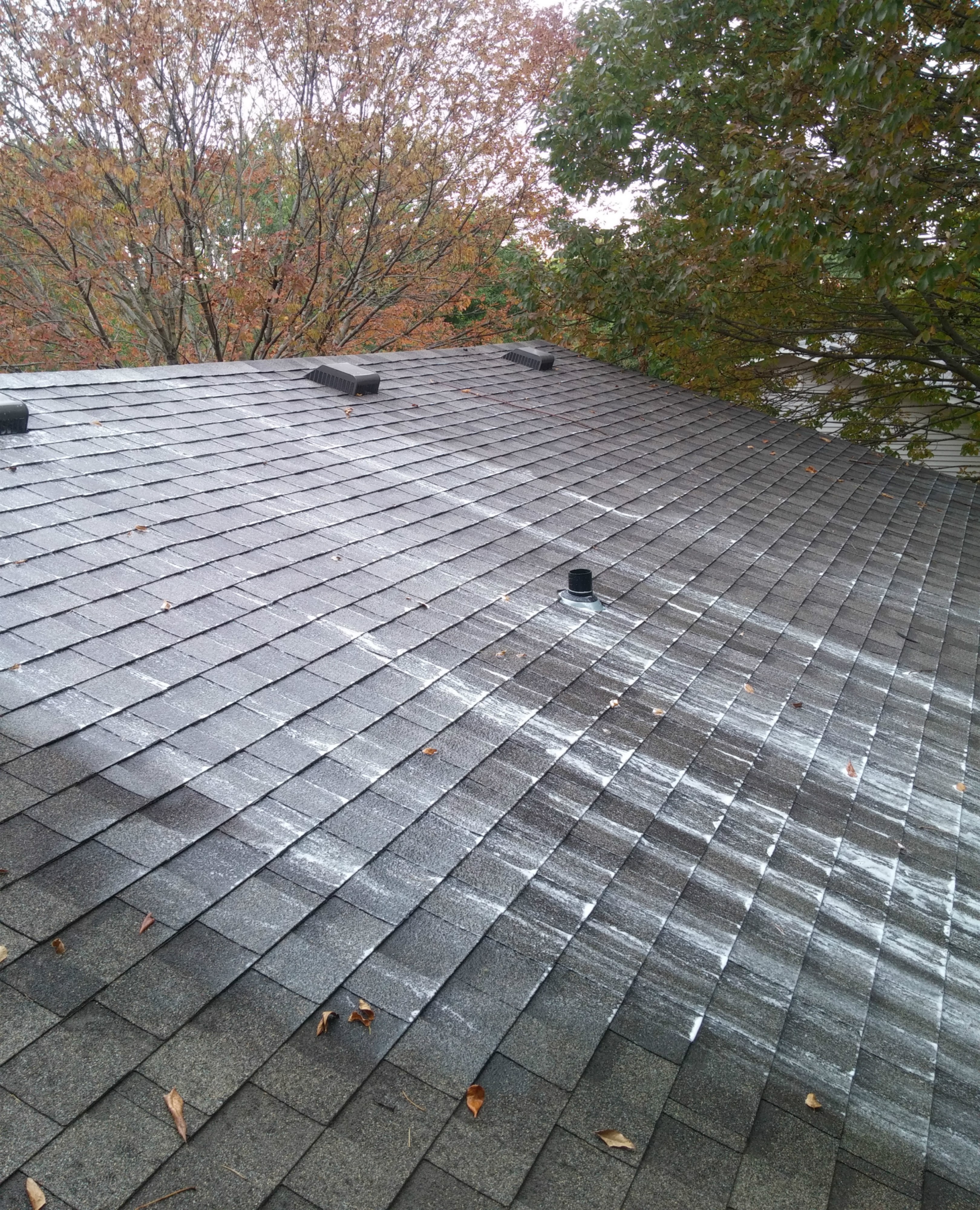 ROOF CLEANING OF MID-MO logo