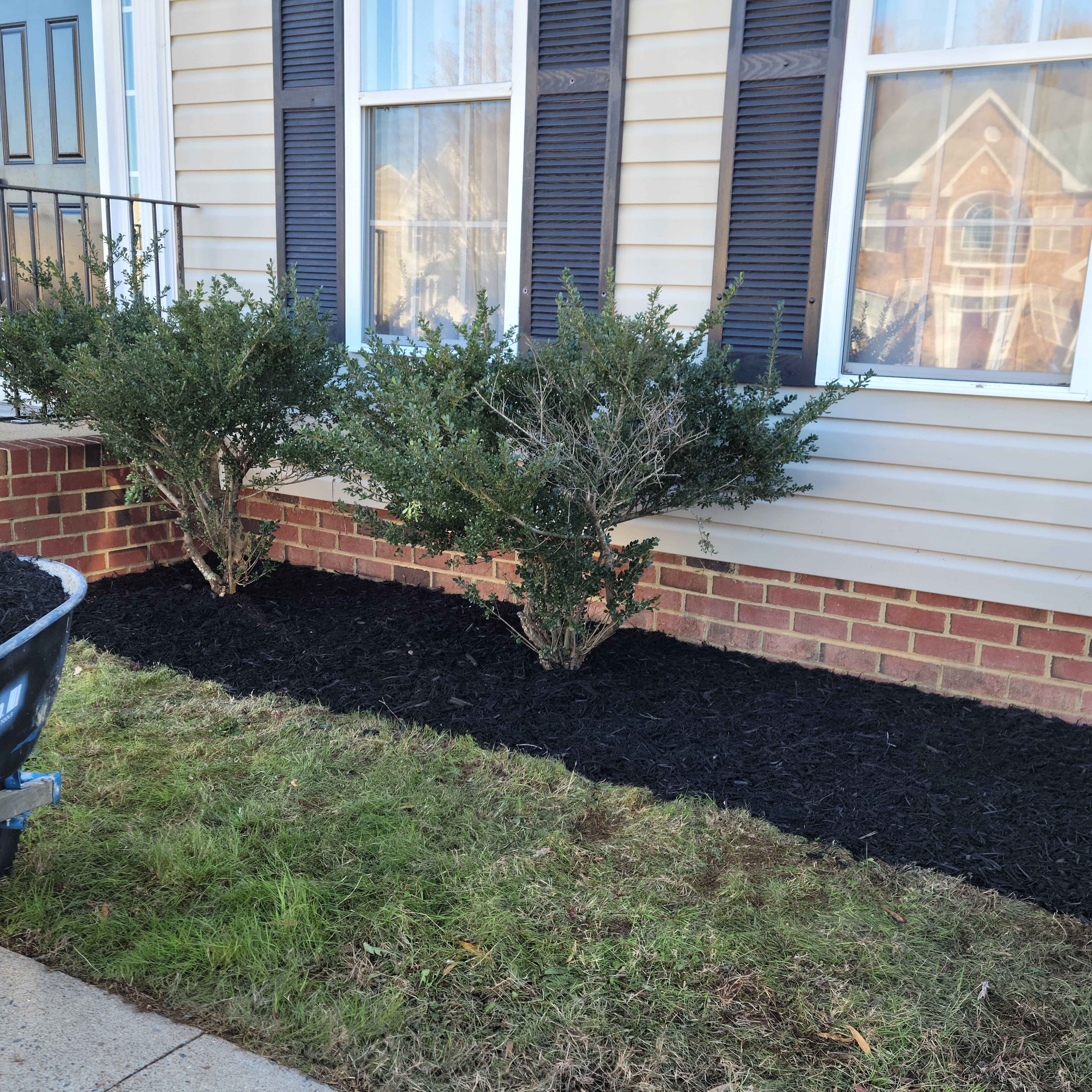 Avatar for JC Randall