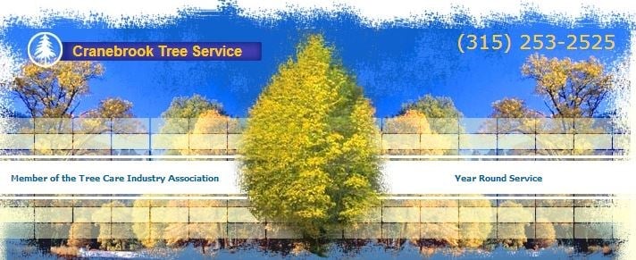 Logo for Cranebrook Tree Service