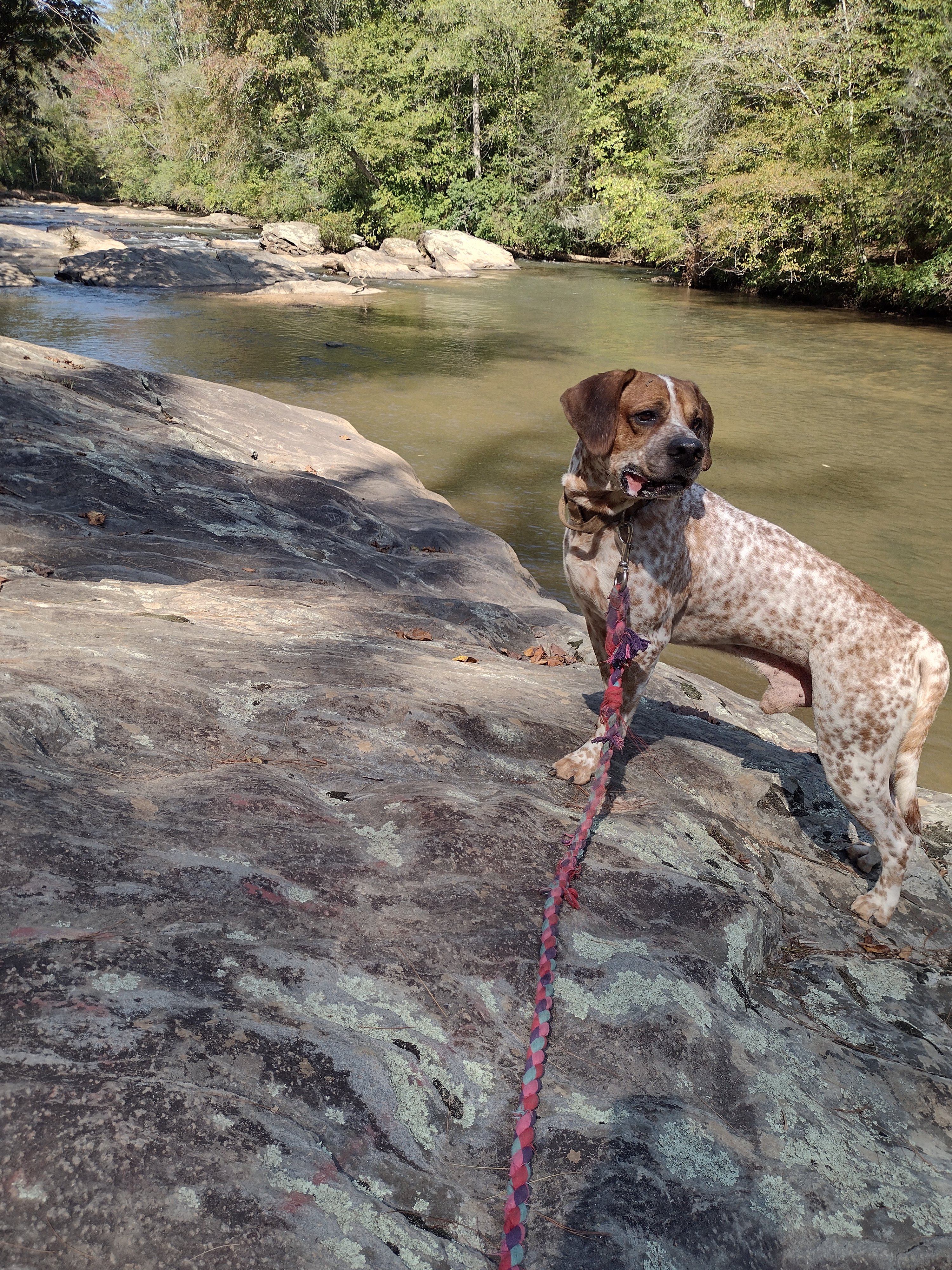 Avatar for Davis remodeling